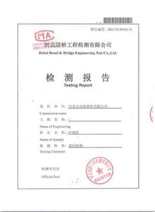河南公司检测报告